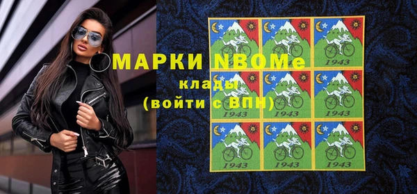 гидра Зеленодольск