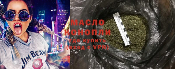 гидра Зеленодольск