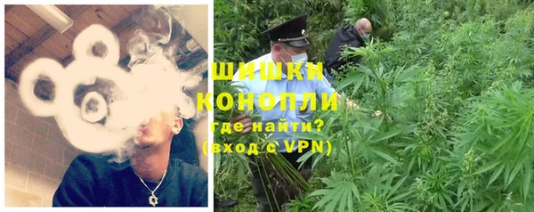 гидра Зеленодольск
