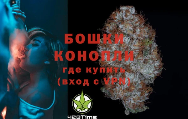 гидра Зеленодольск