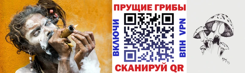 Псилоцибиновые грибы прущие грибы  Купить где  Жигулёвск 